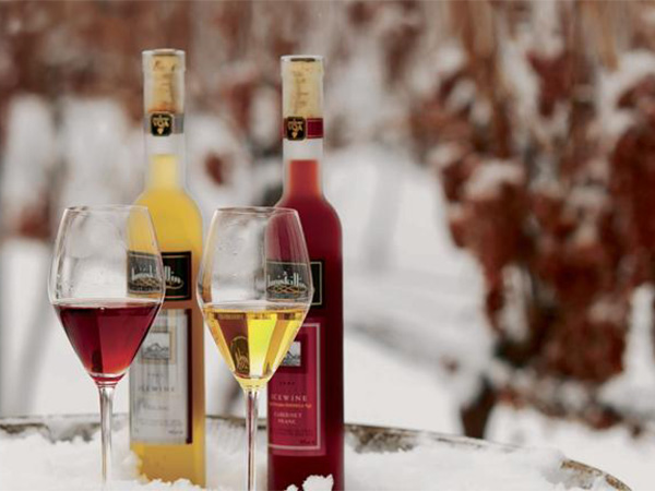 Rượu vang tuyết quý giá, icewine đặc sản hiếm có