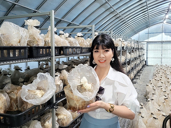 Nữ doanh nhân tiên phong đưa loại nấm quý sparassis về việt nam