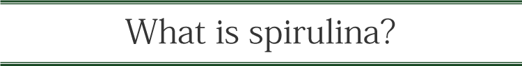 What is Spirulina